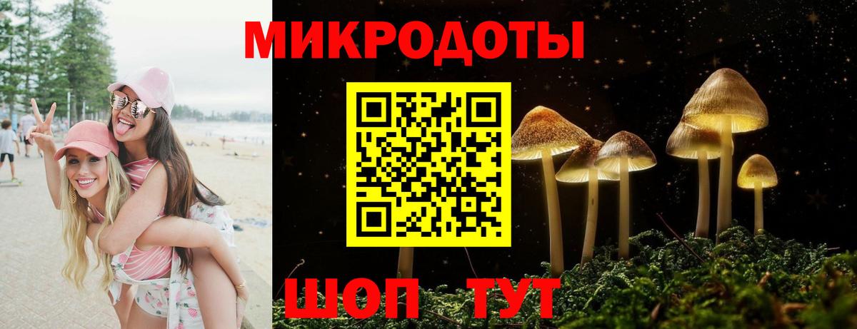 Галлюциногенные грибы Psilocybe  Вход с VPN  Тамбов  Псилоцибиновые грибы Psilocybe 