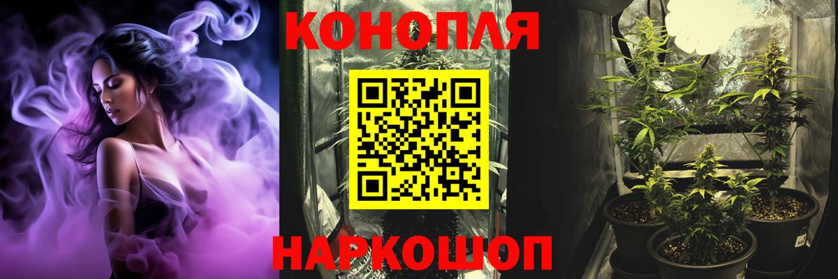 Канабис планчик  Вход с VPN  Шишки марихуана марихуана  Марихуана планчик  Тамбов 